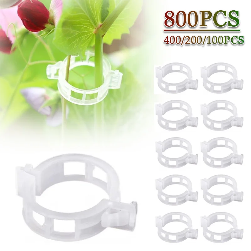 

100-800 шт. пластиковые зажимы для растений, поддержка соединений, многоразовый защитный инструмент для прививки, садовые принадлежности для овощей, помидоров
