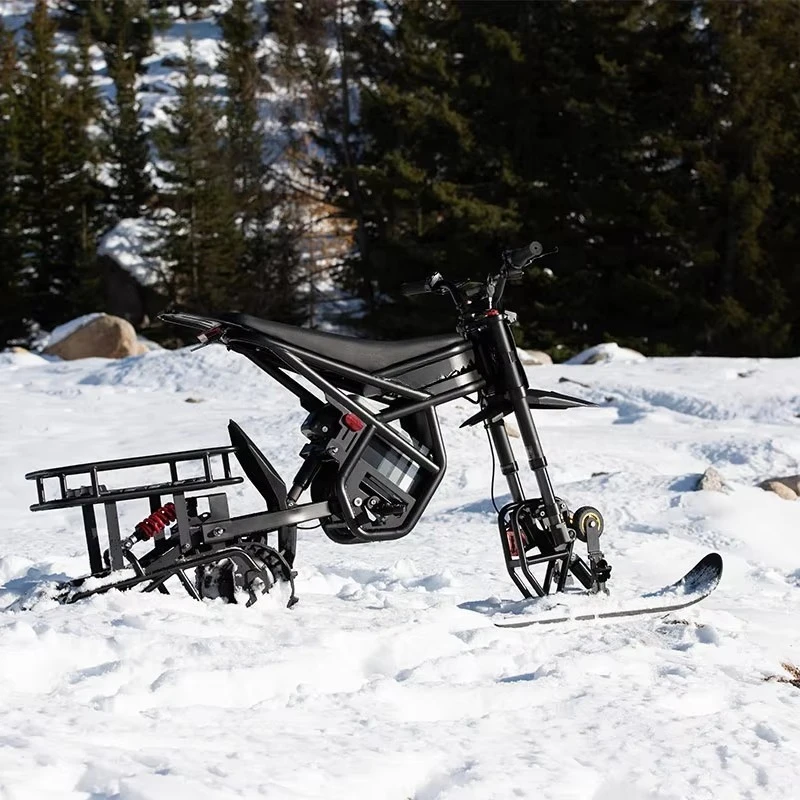 Ridingtimes GT54PRO 60v 32ah Electric Dirt E Bike Electric Mountain Bike Electric Dirt Bikes Snowmobilecustom