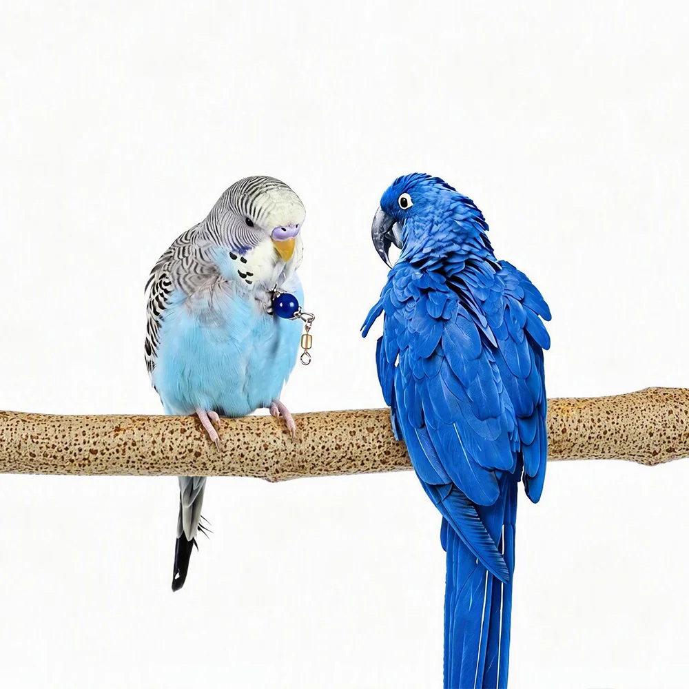 5 Sizes Redbud Wood Bird Perch Stand with Screw Fixation Claw Grinding Molar Stick for Budgies Cockatiels Lovebirds Parakeets