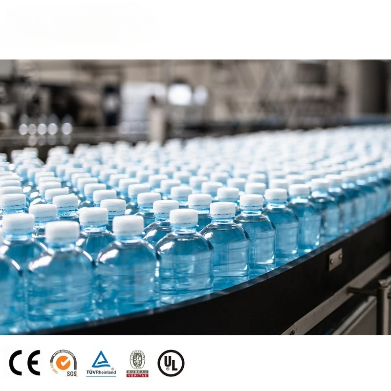 Customizned Factory Project Pure Mineral Water Bottle Filling Machine