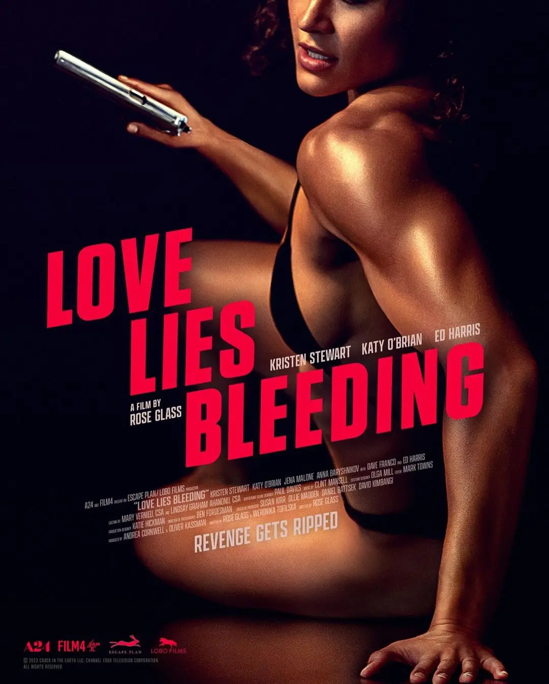 Movie Love Lies Bleeding (2024) Silk Poster custom Home Decorative Wall Painting