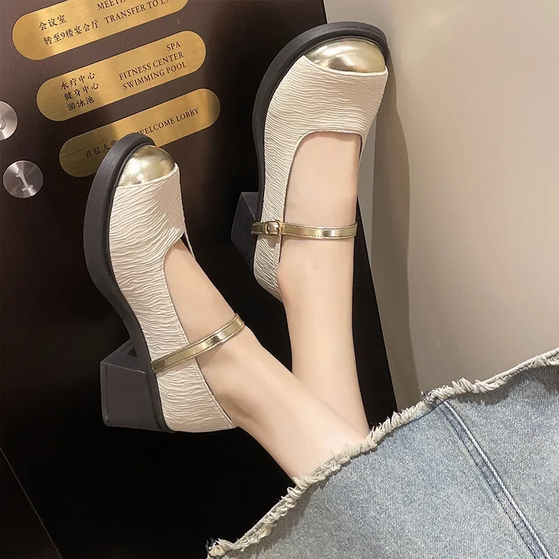 2024 New Medium Heeled Mary Jane Single Shoes Fashion Metal Round Toe Women Shoes Retro Thick Heeled Ballet Shoes Shallow Pumps