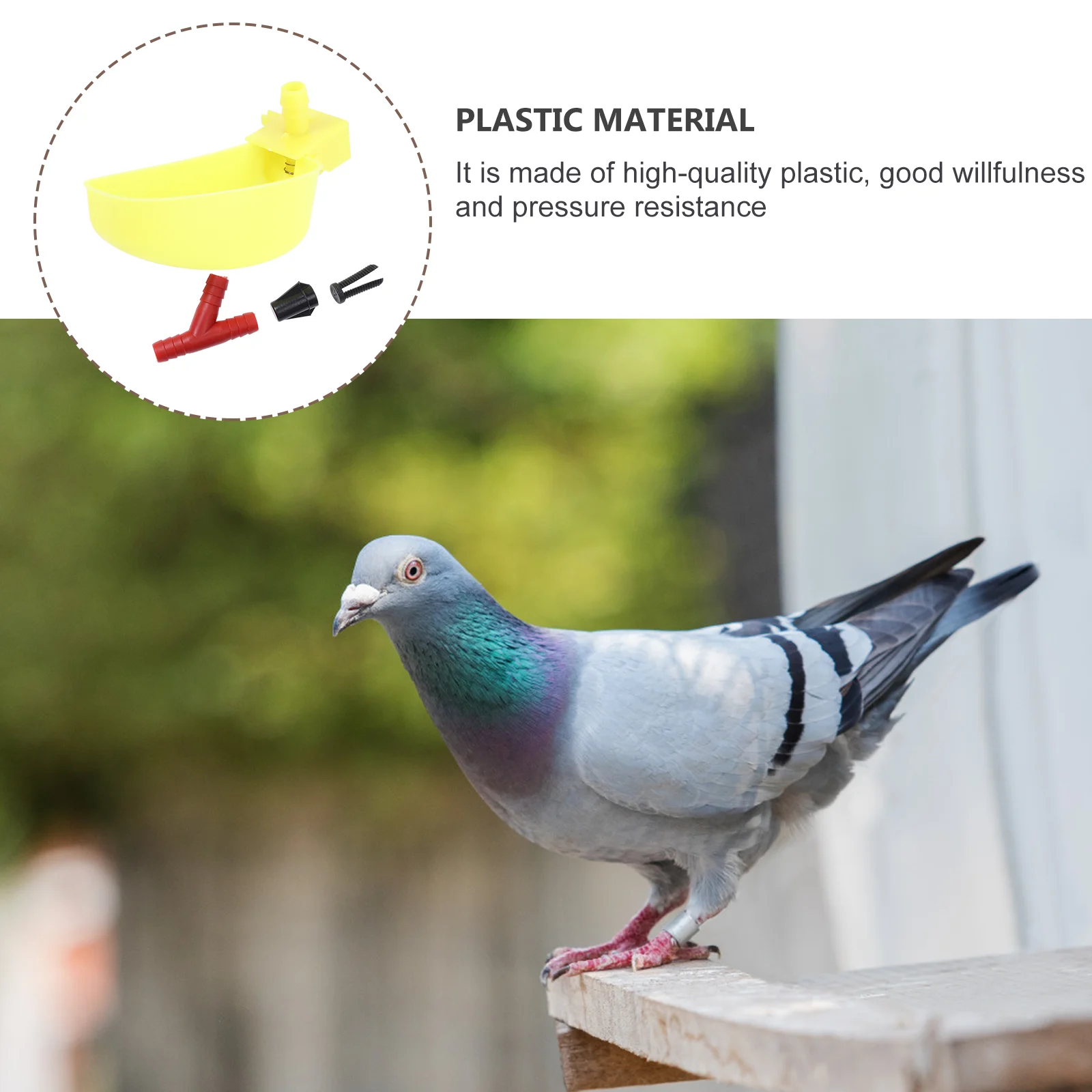 

12 Pcs Automatic Drinking Bowl Water Feeder for Pigeon Birds Clean Easy Cleaning Cage Zoo Plastic Durability
