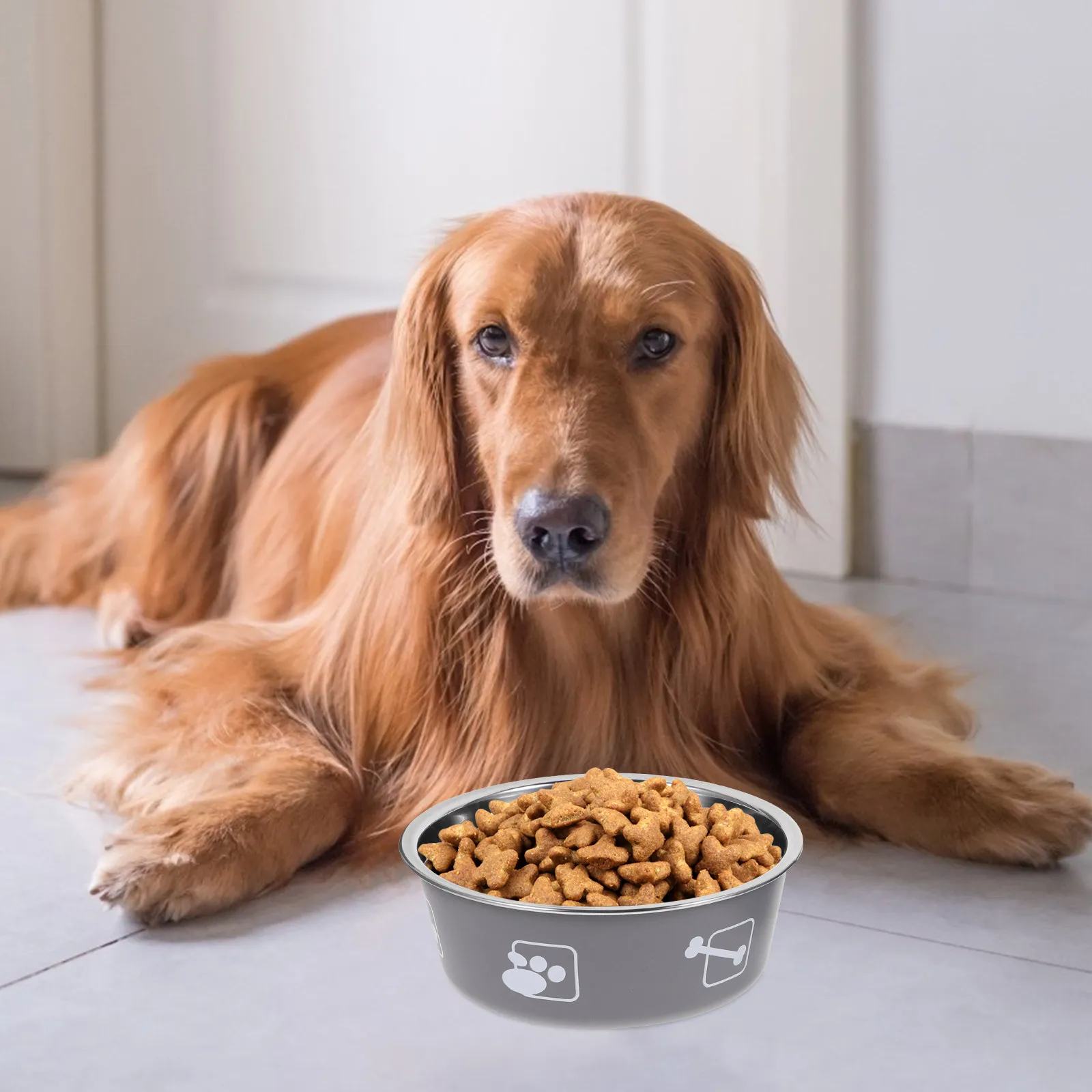 

2Pcs Stainless Steel Pet Bowl High-Quality Non-Slip Cat Feeding Bowl Easy Wash Dog Food Holder Sturdy Pet Supply for Home