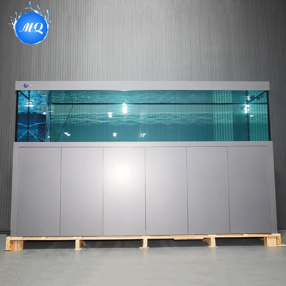Wholesale Silent Large Glass F - огляд і ціна Aquarium Fish Big Size