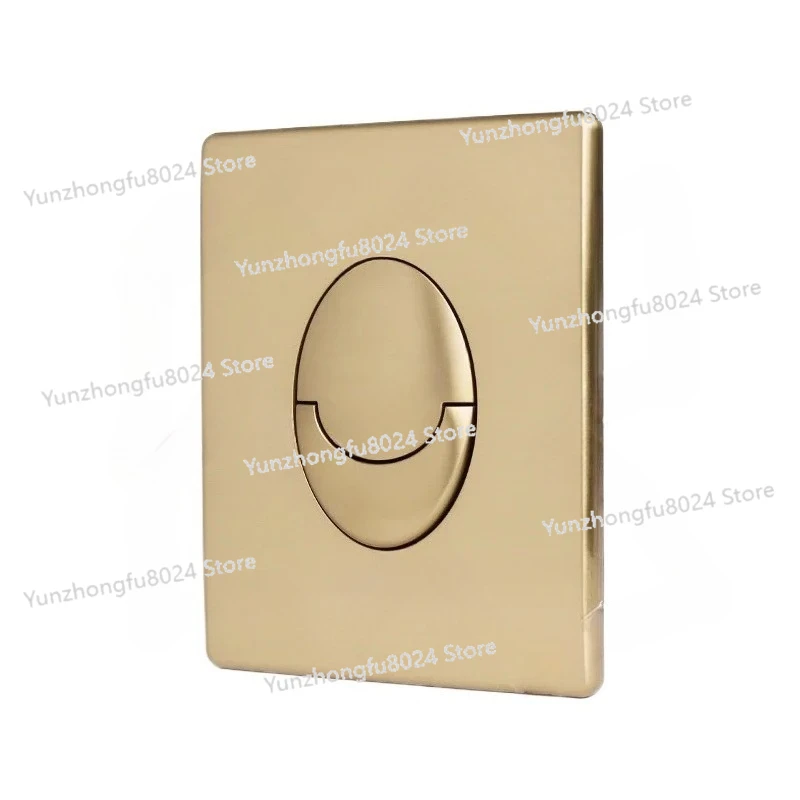 

Hidden Water Tank Wall-mounted Toilet Accessories Double Flush Pneumatic Panel Black Button Key