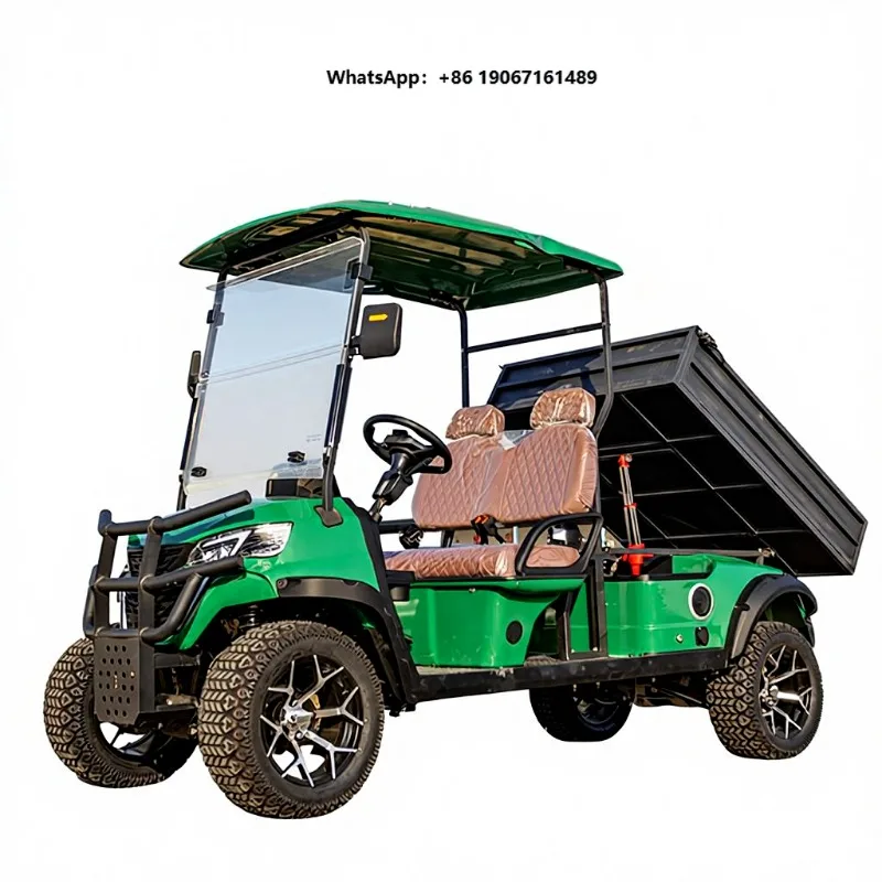 2-Seater Electric Steel Utility Golf Cart with Cargo  CE Certified for Work & Leisure 2026 New Model LXM
