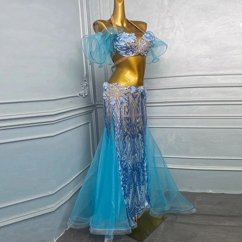 밸리 댄스 의상, 여성 성인을 위한 고급 자수 다이아몬드 롱 드레스, 삼바 퍼포먼스 하이 플래시 드레스