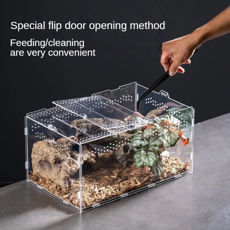 Transparent Acrylic Reptile Terrarium Habitat Breeding Box Reptiles Cage Nano Arboreal Tarantula Enclosure for Spider Scorpion