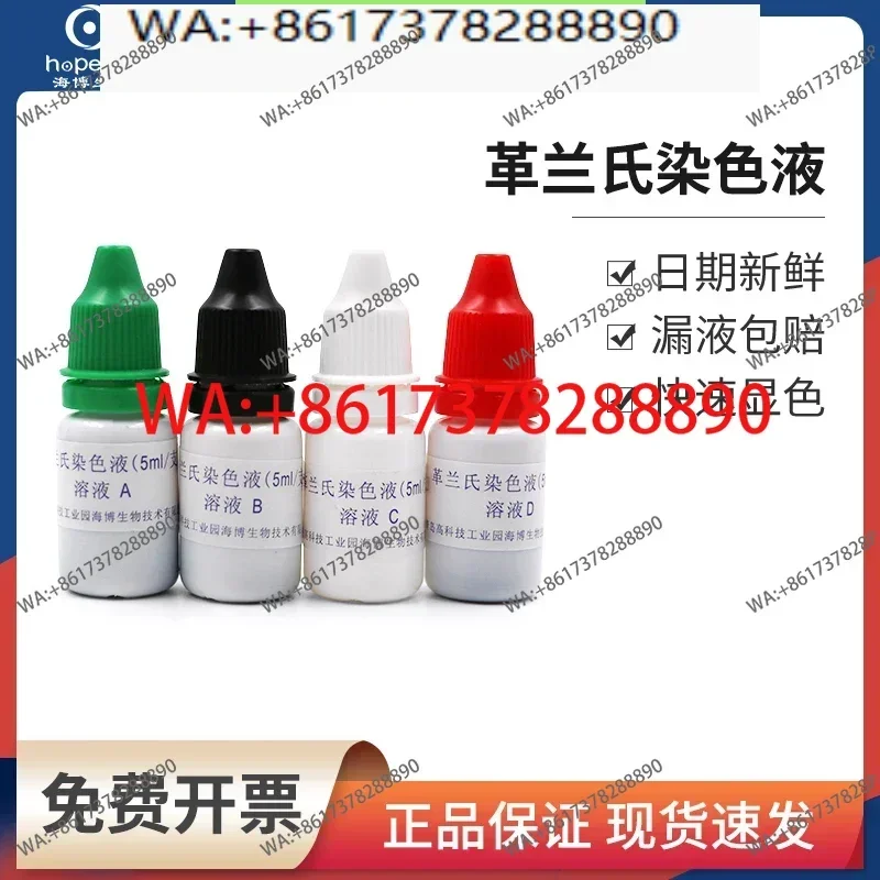 Kit de Solución de Tinción Gram de Qingdao, Agente de Tinción para Bacterias Biológicas, Solución de Decoloración, Solución de Tinción Múltiple HB8278