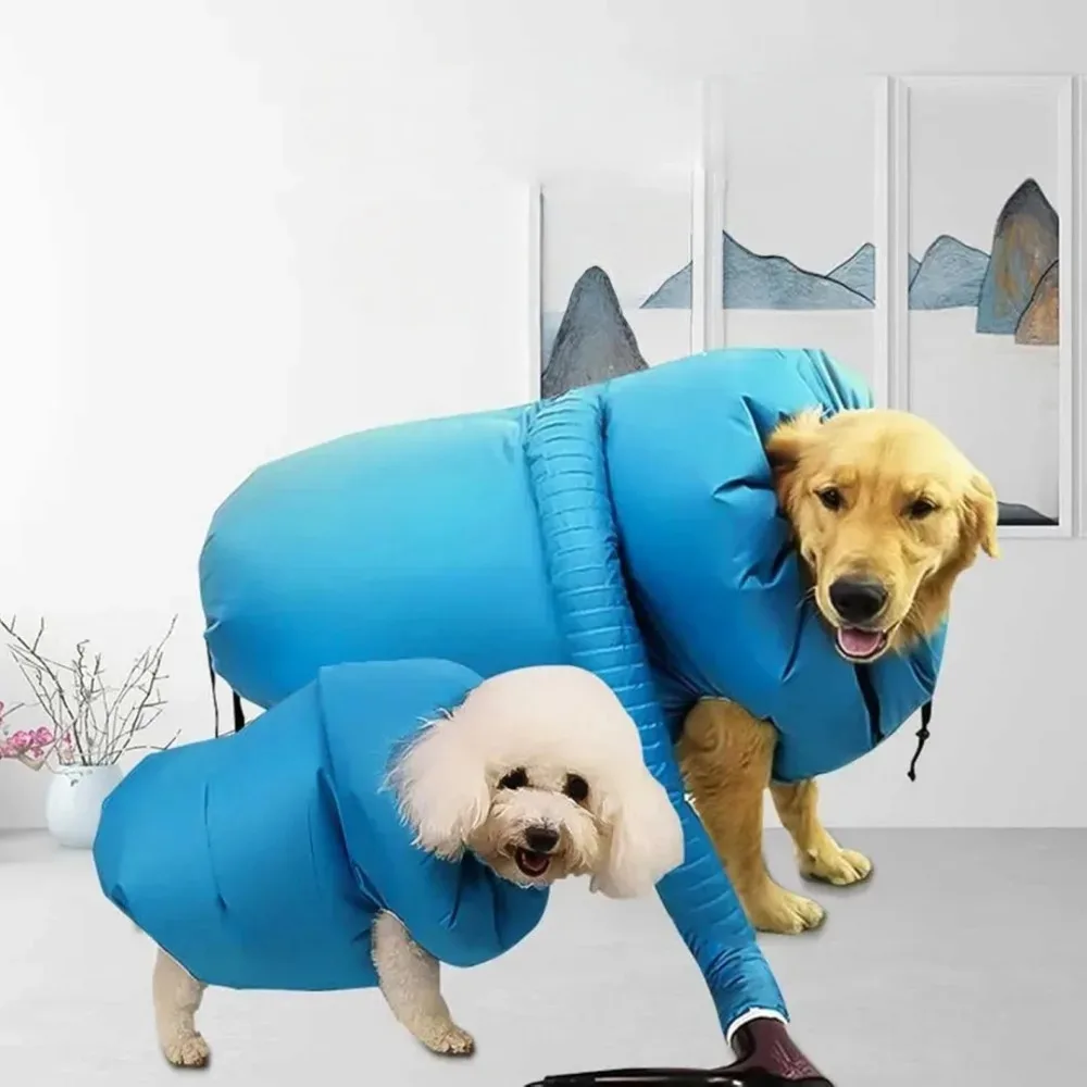 Borsa Asciugacapelli per Cani - Hot Dog Press recensione e prezzo