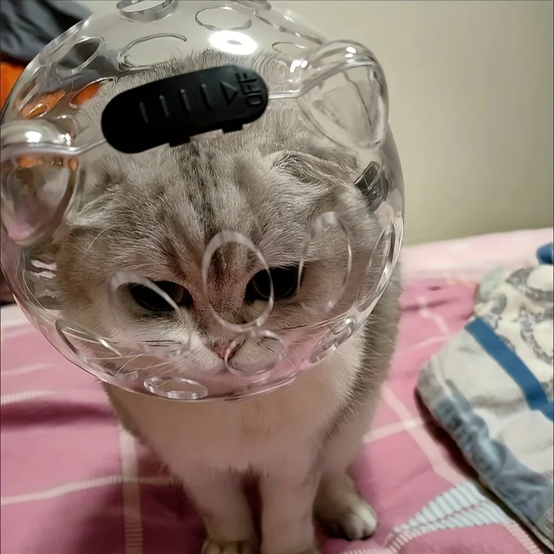 Thumbnail 4 - #27 Pet Muzzles Comparison Guide