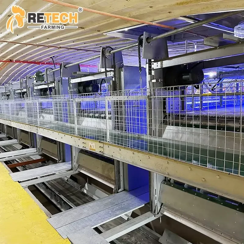 Retech Farming H-Type Hot Dip Galvanized Automatic Chain-type Harvesting Broiler Cage Equipment with Environment Control
