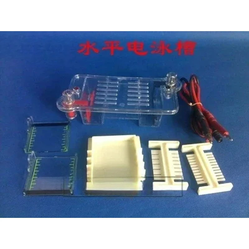 

Horizontal Electrophoresis Non-Platinum Electrode Biological Instrument