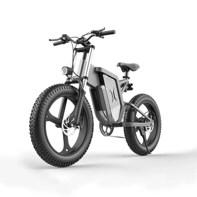 

OEM Fat Tire Lithium Battery Aluminum Alloy Central Rear Motor Disc Brake Adult E Electric Bike Mountain Road City 12000W Ebike
