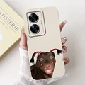 case-c20