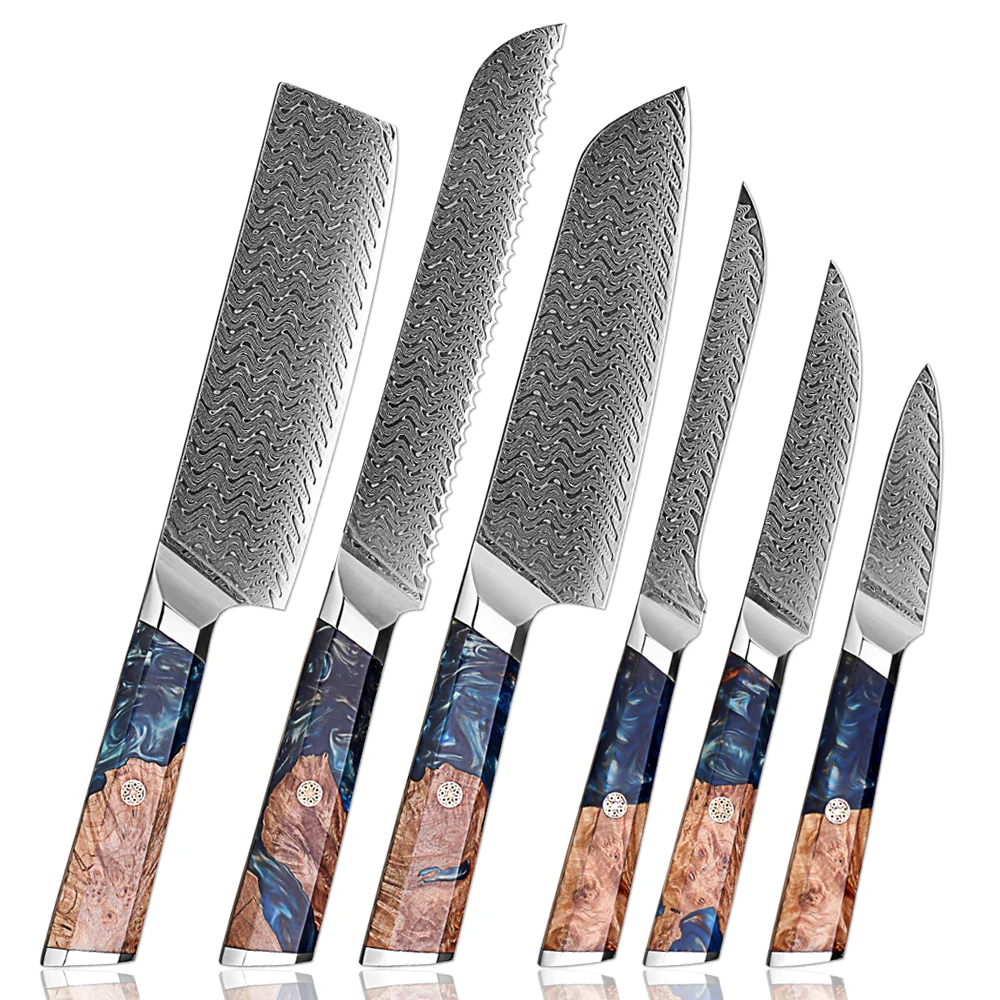 

Professional Kitchen Knives Set 1-6PCS,Damascus Steel Santoku,Cleaver,Paring,Bread Boning Cooking Knives Blue Resin Wood Handle