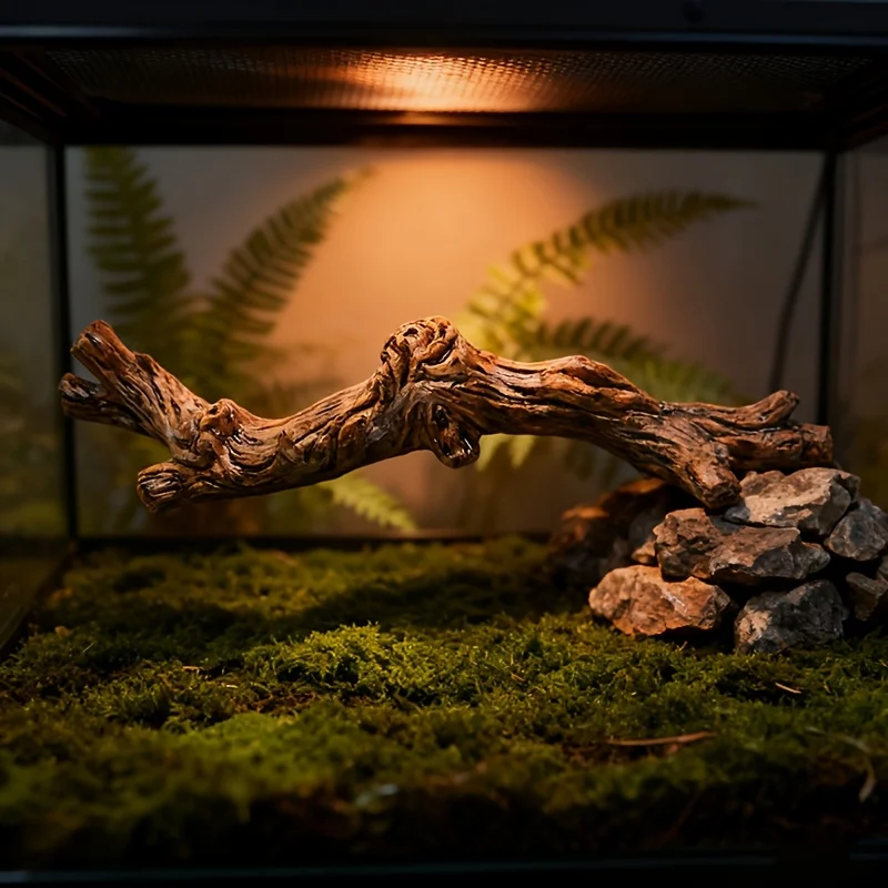 Simulação de paisagem da floresta tropical, lagarto, guarda o palácio, ornamento de árvore de escalada, tanque de cobra de aranha, suprimentos de paisagem
