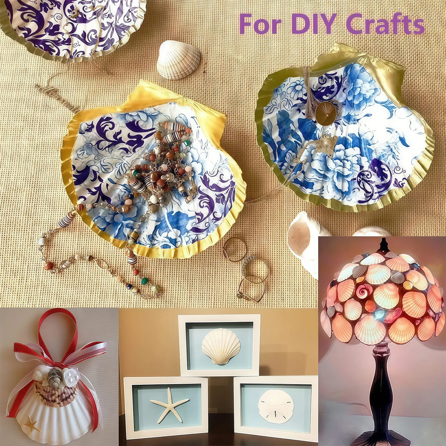 32PCS Natural Hawaiian Scallop Shells, Used for Baking, DIY Painting, Home Decoration, and Beach Wedding Party Decoration