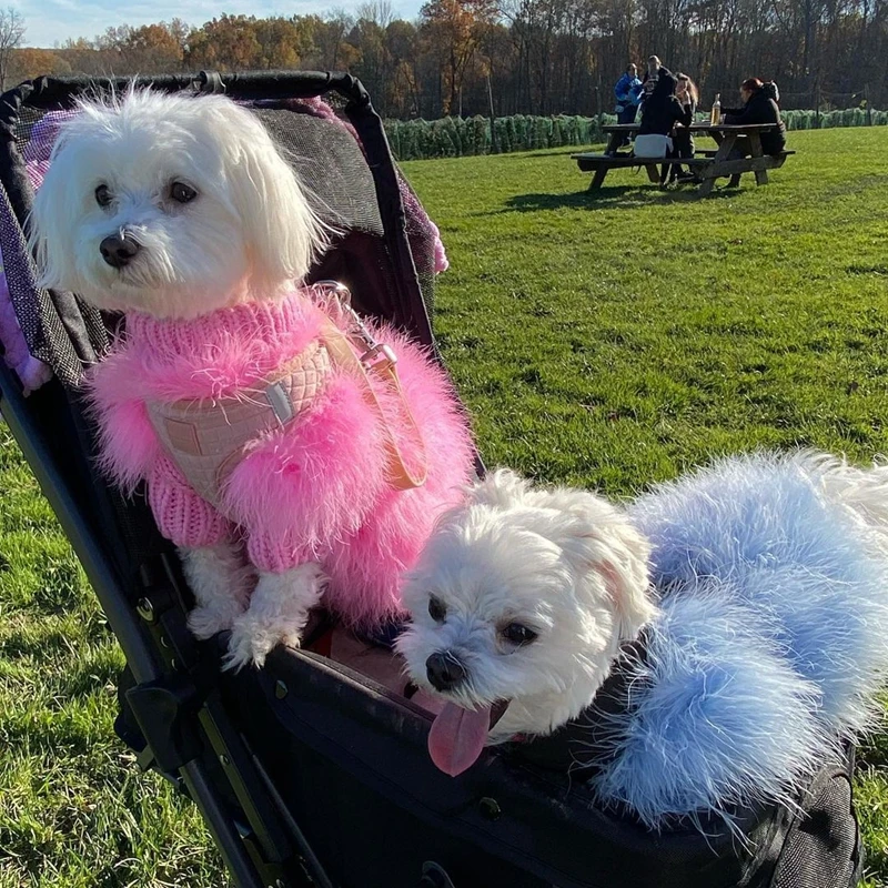 Luxury Pet Colorful Sweater Puppy Clothes Designer Dog Clothes Small Dog Cat Sweater Schnauzer Yorkie Poodle Core Yarn Fur Coat