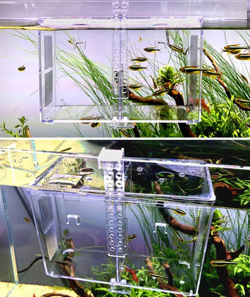 Clear Acrylic Fish Tank Isolation Box 6x4x4 - Pre-Assembled Breeding  Hatchery With Suction Cups, Feeding Port & Pipette Kit Fry Breeding Box