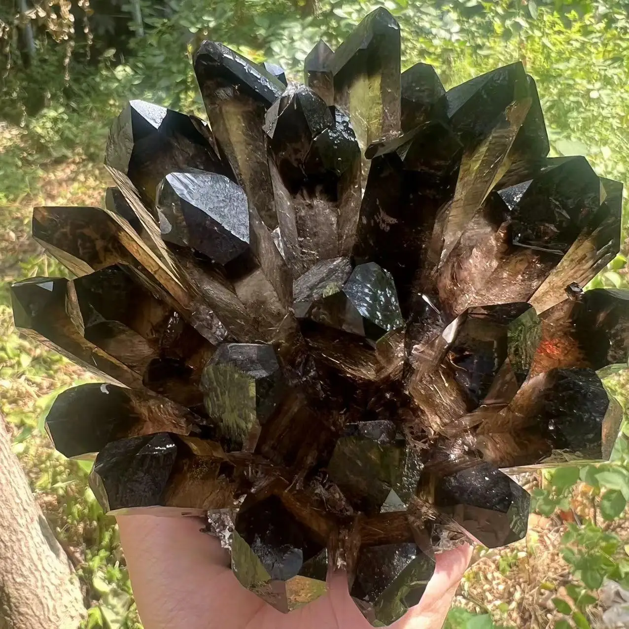 1.2-1.4kg Natural Black Smoky Quartz Crystal Cluster Mineral Healing Spirit Energy Home Office Aquarium Decoration Gift