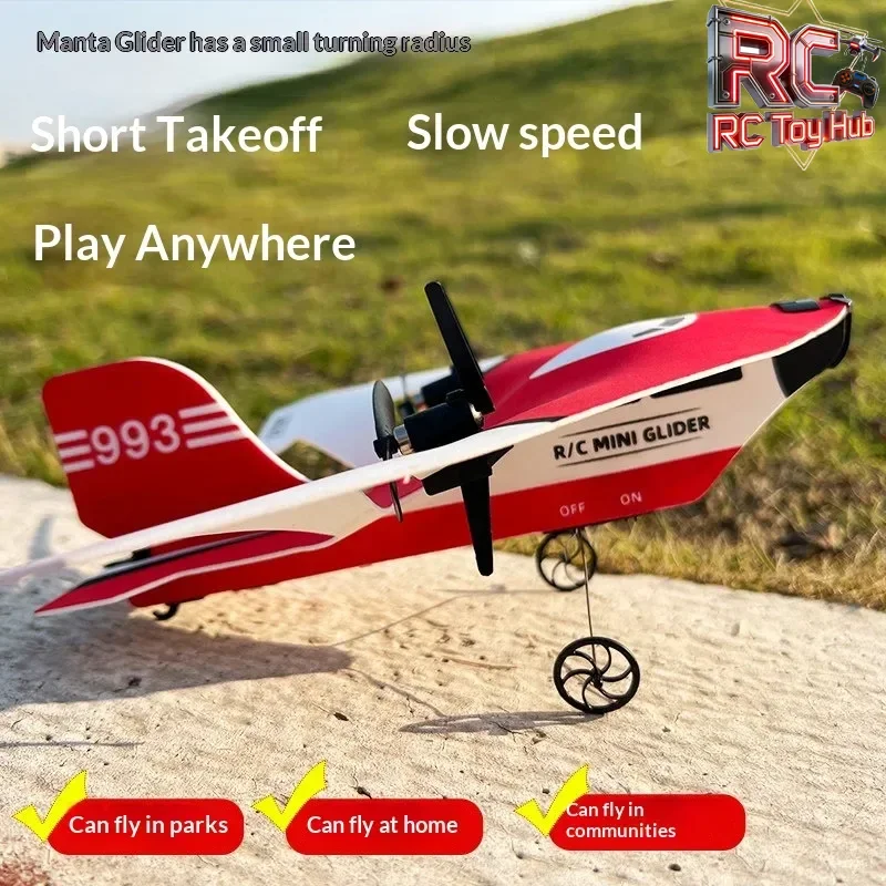 2.4g Rc Delta Wing Glider Airplane Model Anti-Crash Durable Remote Control Aircraft Rechargeable For Indoor & Outdoor Flying Toy
