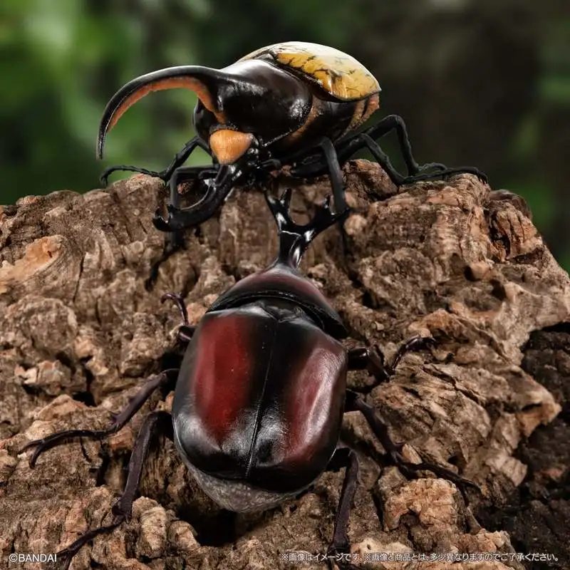 Bandai Twisted Egg Biological Big Picture Beetle Collection 09 Unicorn Fairy Big Dipper Simulation Insect Ornament In Stock