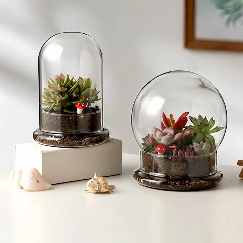 Clear Glass Dome with Airhole Glass Cloche Bell Jar with Base Home Tabletop Display Plant Flower Terrarium Container Home Decor