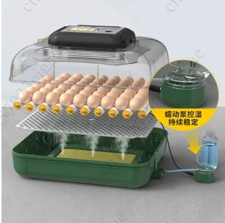 41 Eggs Automatic Mini Egg Incubator with Roller & Smart Humidity Control, Digital Hatcher for Quail and Bird Eggs