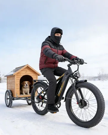 Dual Motor Ebike