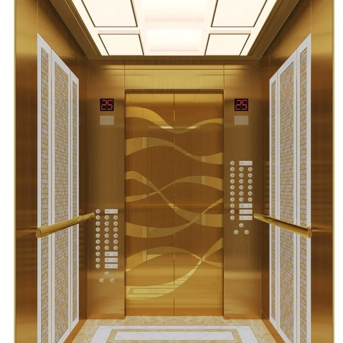 Small Home Elevator Hydraulic Villa Lift 250kg 2 Floors Quiet Smooth Operation Customized For Elderly Mobility Assisted Living