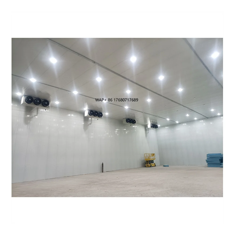 

Commercial Industrial Walk in Freezer Room and Equipment Frozen Freezer Room for Meat and Fish