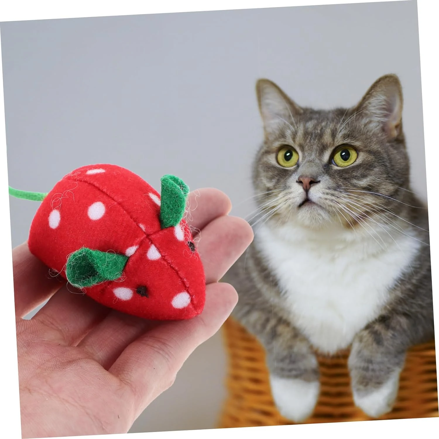 Exciting Interactive Plush Catnip Chew Toy for Curious Cats - Engaging 5 Hilarious Fruit Cat Mouse Pet Toys for Energetic Kitten