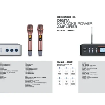 Hot Selling Professional 700-1500W Home Theatre System Portable Multi-function Amplifier