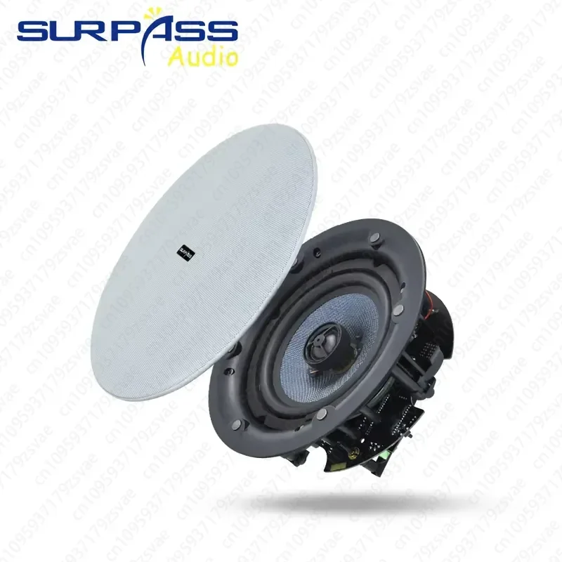 WE668 Store WiFi Ceiling Speaker Embedded Speaker Home Background Music Ceiling Speaker