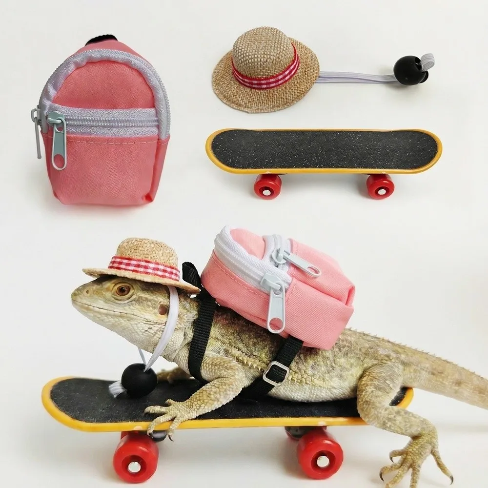 Creative Pet Skateboard Toys Set Funny Interactive Lizard Mini Scooter Rotary Wheel with Backpack Parrot Skateboard Exercise