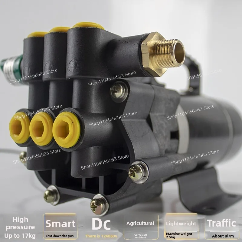12V New High-Power High Pressure Sprayer Pump, Agricultural Irrigation & Spraying Electric Water Pump for Vegetable Fields