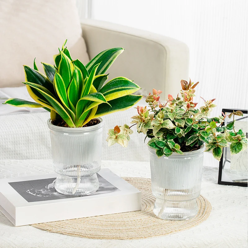 Mini Self Watering Flower Pot Fish Tank Transparent Plastic Plant Pots Self Watering Planter Pot Vase For Home Decoration