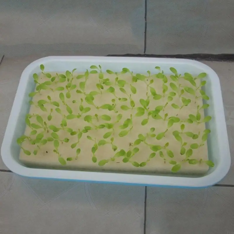 F19B 96pcs Garden Seedling Sponge for Greenhouse Small Bud Growth or Grow Seedlings