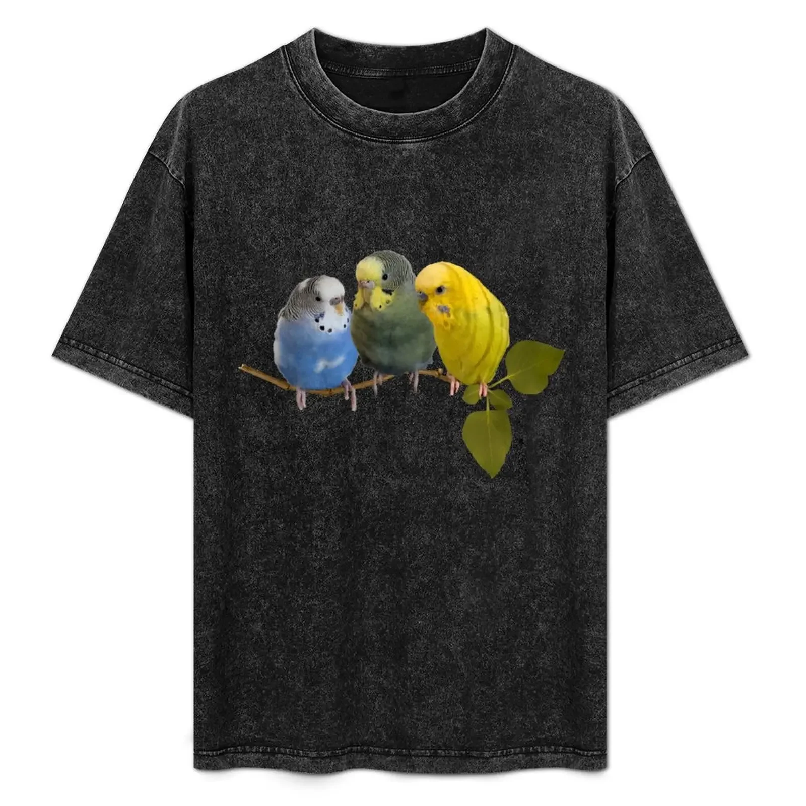 

Birbs on a Branch! T-Shirt cheap stuff luxury clothing labubu graphic tee shirt shirts graphic tee men