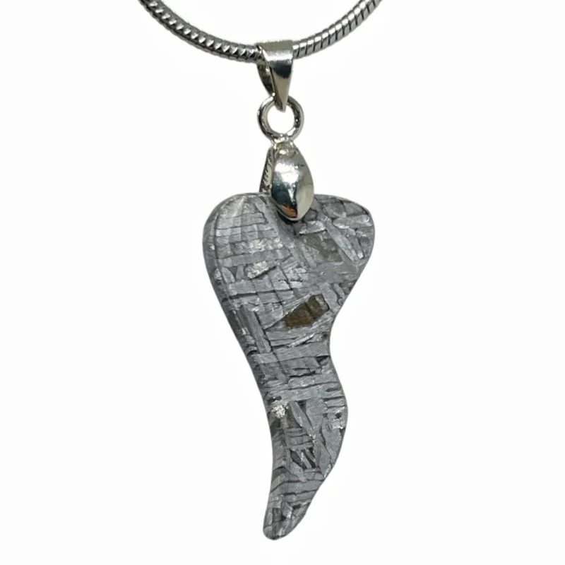 Muonionalusta Meteorite Wing Pendant Natural Iron Meteorite Jewelry Space Rock Collectible Necklace Gift LK560