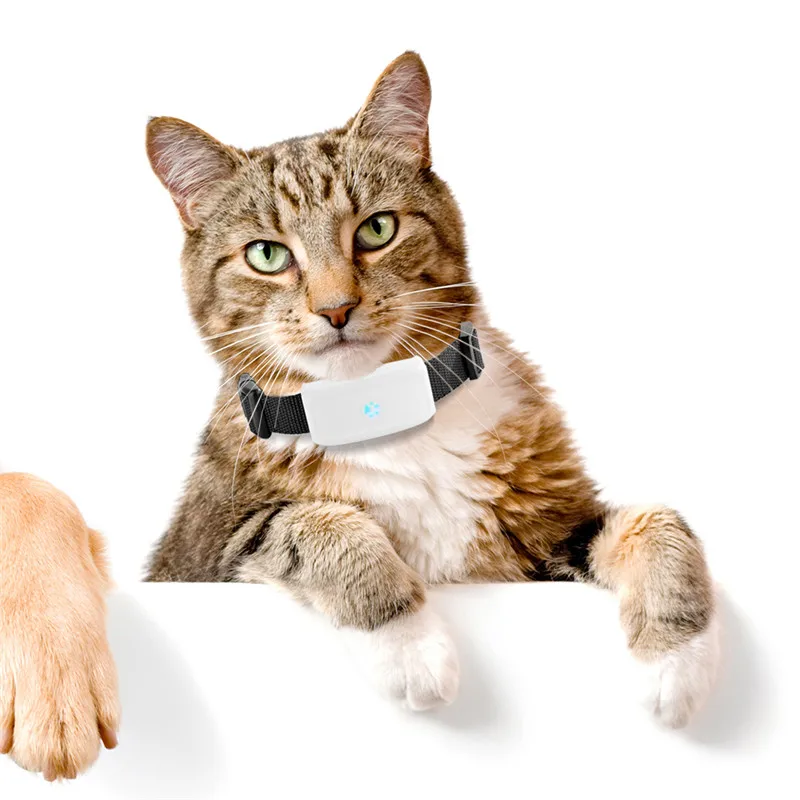 

New Release Animal tracker Device Cat Dog Anti Lost Locating Tracking GPS Pet tracker