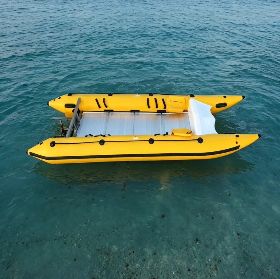 Top Sale High Speed Inflatable Boat Fishing Boat Rowing Catamaran Inflatable Boat