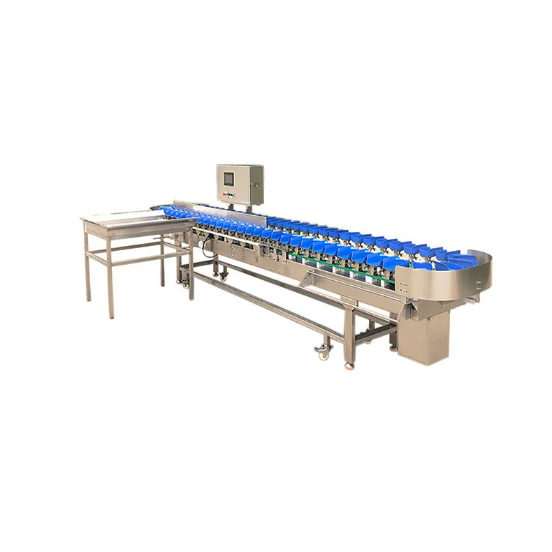 Orange Peach Corn Vegetable Onion Grader Scale Dragon Fruit PLC Automatic Sorting Machine Eco-Friendly Commercial Use Fruit