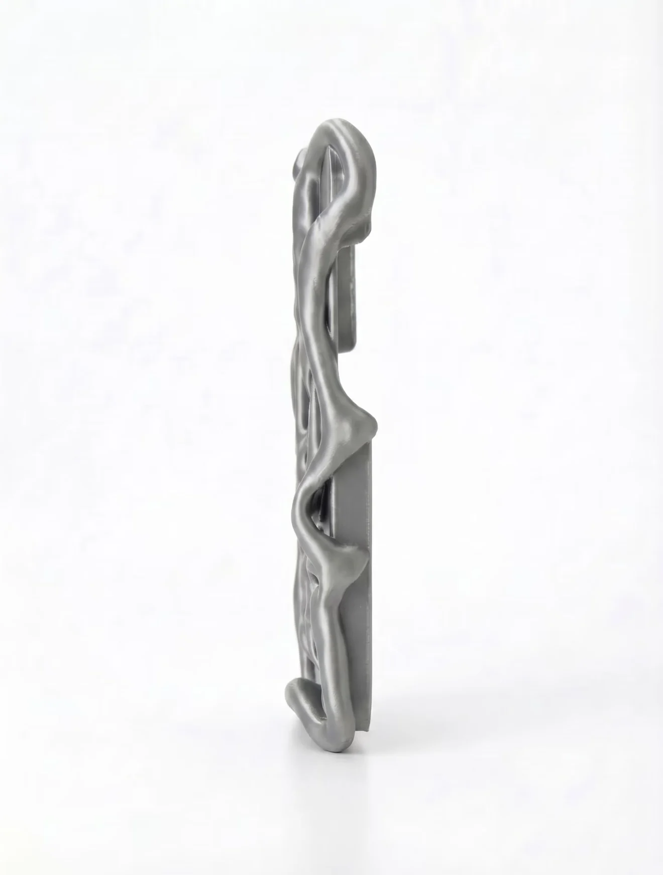 AX1_001 "Host Skin · Host Skin" Original 3D Printed Phone Case, Suitable for iPhone. view 3