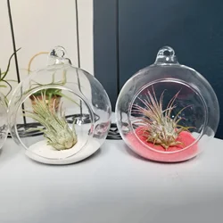 Glass Ball Terrarium Container Plant Terrariums Flower Hanging Planter Clear Wedding Decor Single Candle Holders