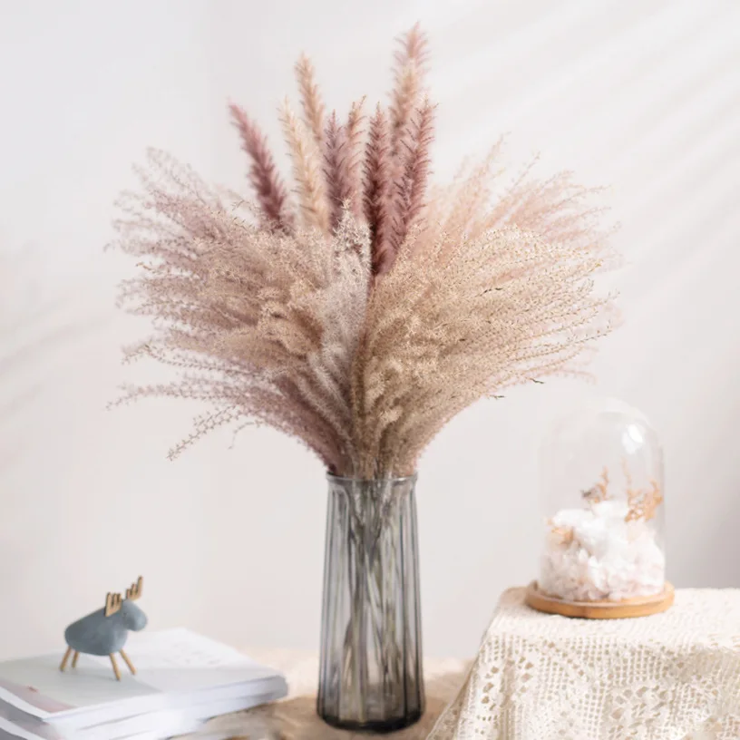 Pampas secas naturales, decoración de hierba de caña, flores secas y esponjosas reales, ramo DIY para decoración del hogar, planta Pampaspluimen Lapin