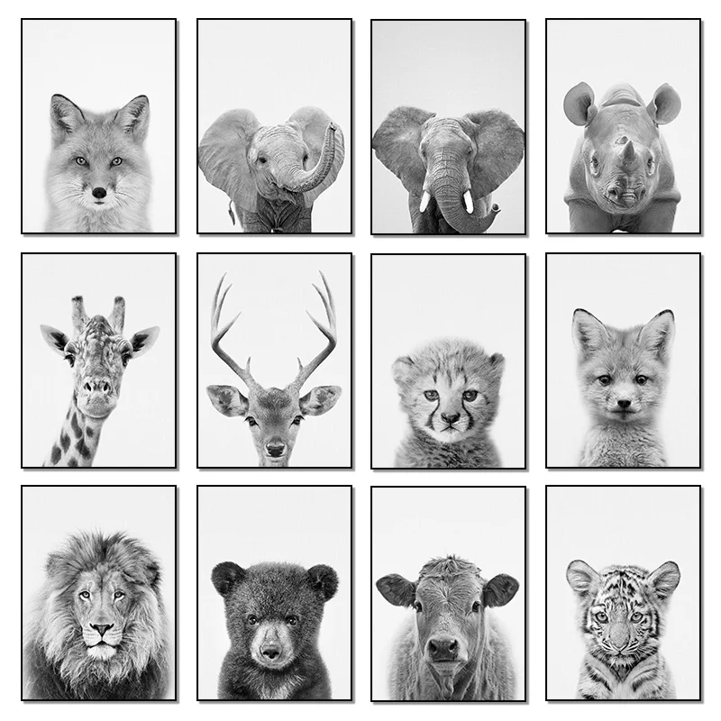 Rhino Giraffe Cheetah Black and White Animal Posters Canvas Painting Nursery Wall Art Pictures Living Room Home Decor Gift