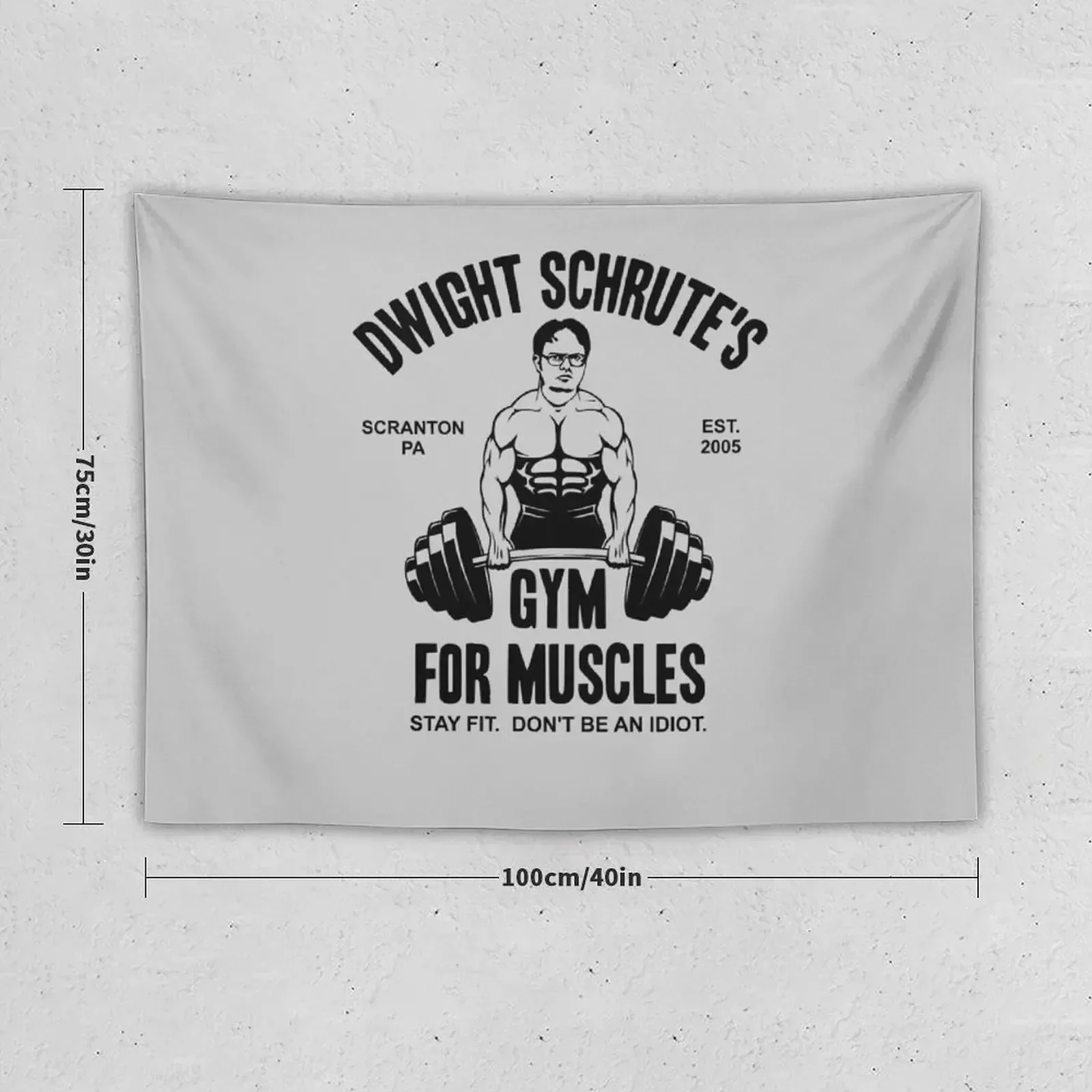 Dwight Schrute Gym For Muscles Tapestry Home Decoration Cute Room Decor Aesthetic Room Decor Tapestry